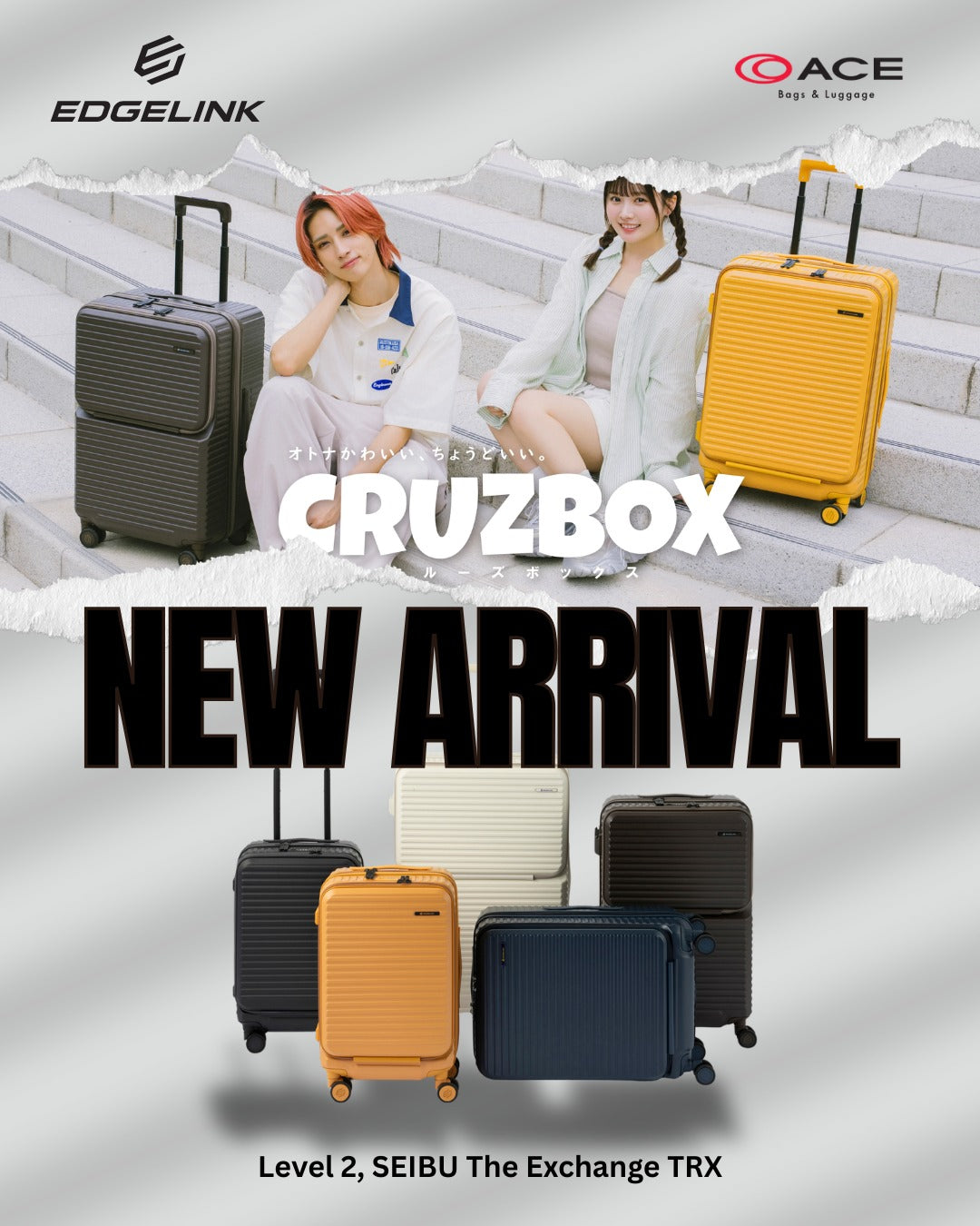 ACE's New Arrival