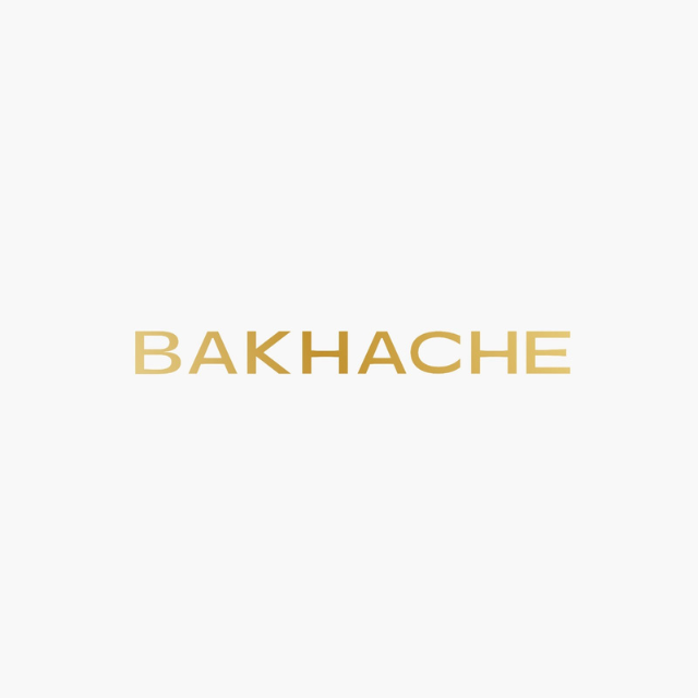 Bakhache Logo