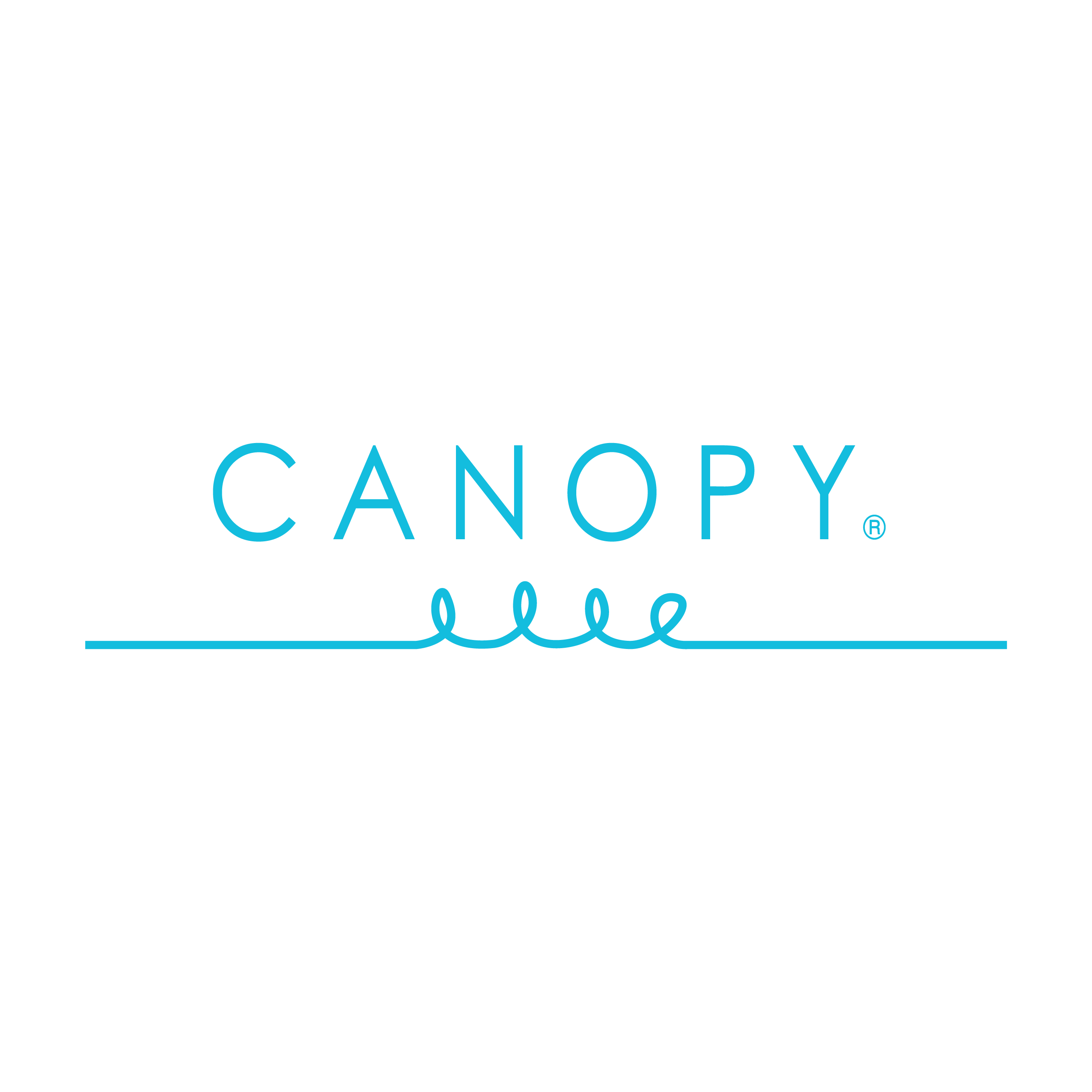 Canopy Logo